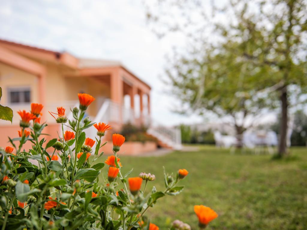 Villa Elaia Mare Fanárion المظهر الخارجي الصورة